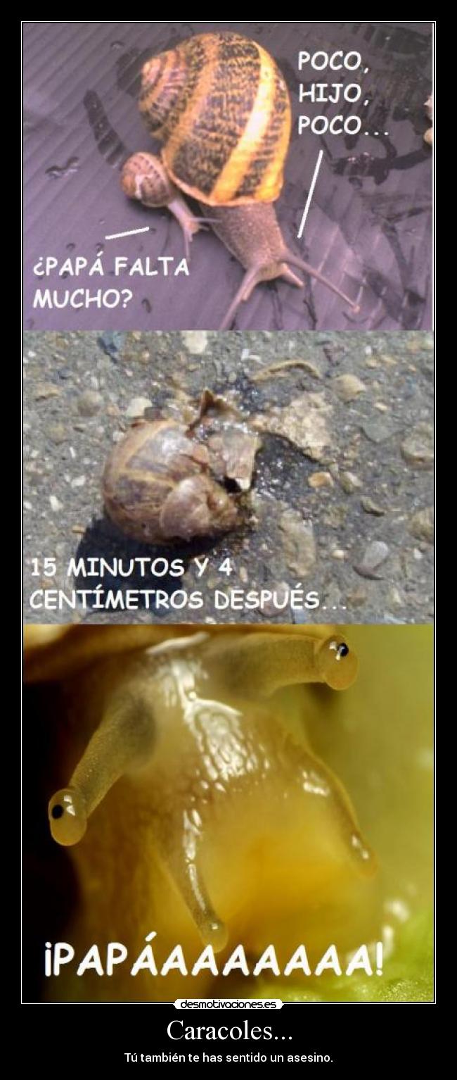 Caracoles... -
