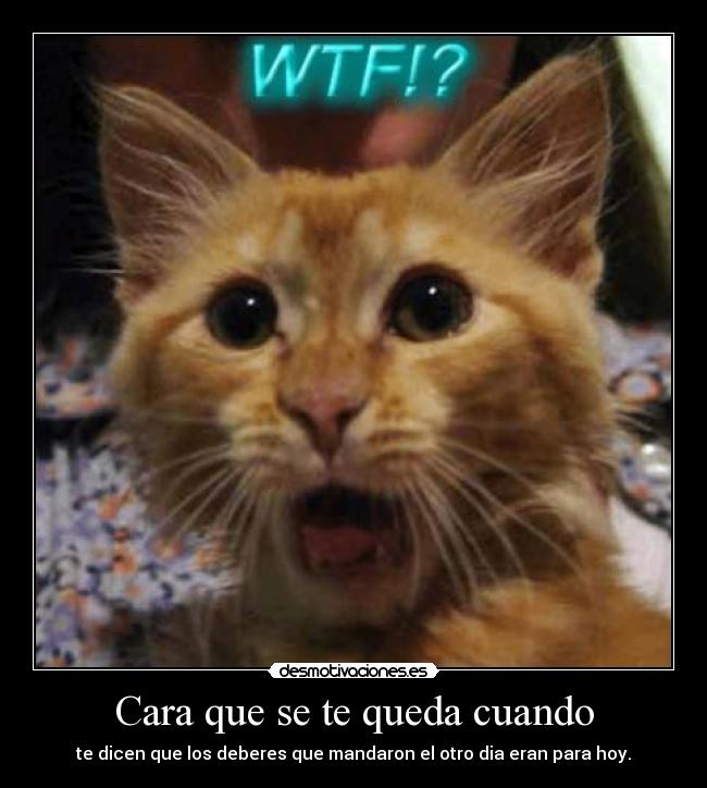 Cara que se te queda cuando - te dicen que los deberes que mandaron el otro dia eran para hoy.