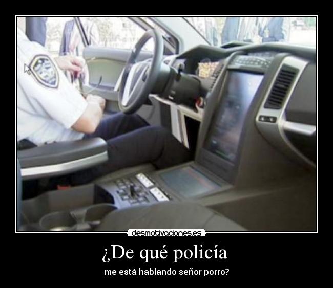 ¿De qué policía - me está hablando señor porro?
