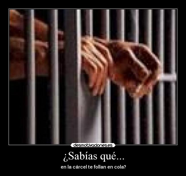 ¿Sabías qué... - en la cárcel te follan en cola?