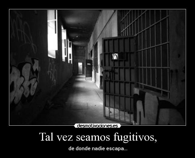 Tal vez seamos fugitivos, - 