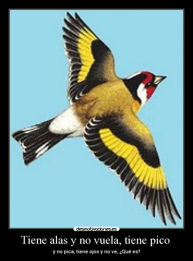 carteles chiste desmotivaciones