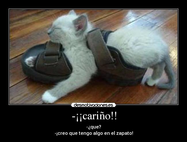 -¡¡cariño!! - -¿que?
-¡creo que tengo algo en el zapato!