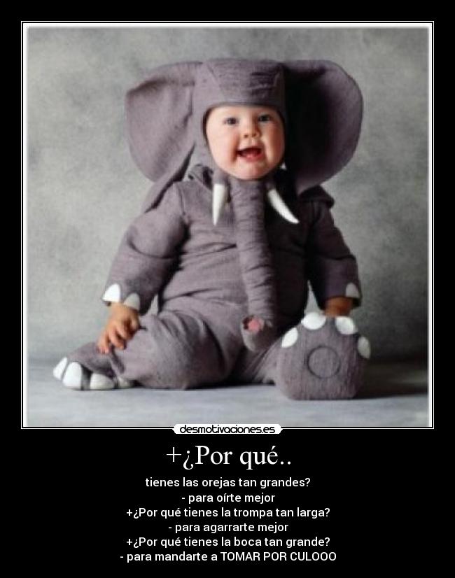 +¿Por qué.. - tienes las orejas tan grandes?
- para oírte mejor
+¿Por qué tienes la trompa tan larga?
- para agarrarte mejor
+¿Por qué tienes la boca tan grande?
- para mandarte a TOMAR POR CULOOO