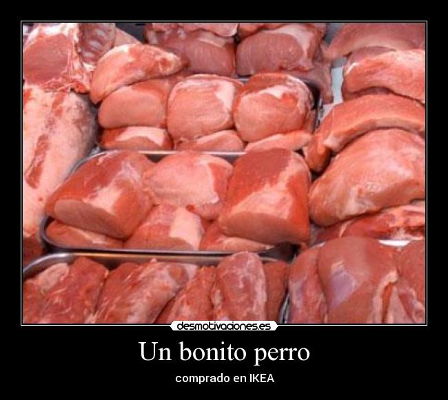 Un bonito perro - comprado en IKEA