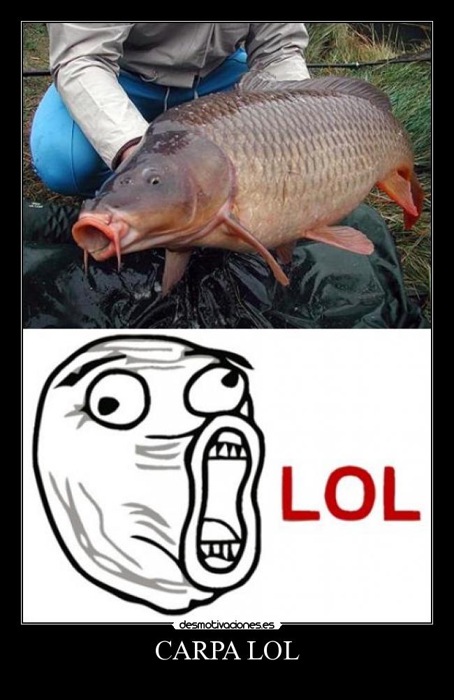 CARPA LOL -