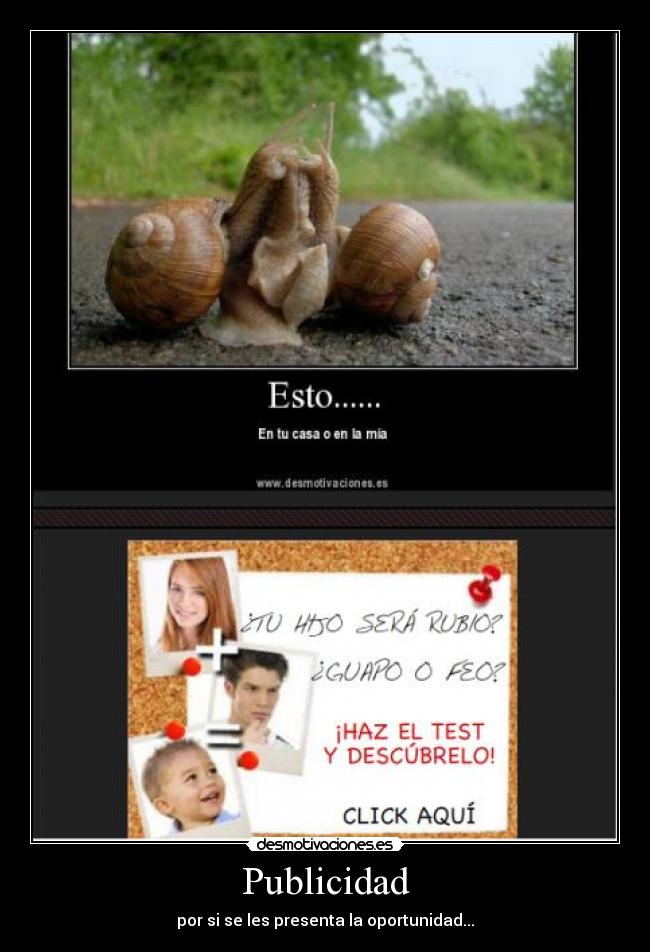 carteles publicidad desmotivaciones