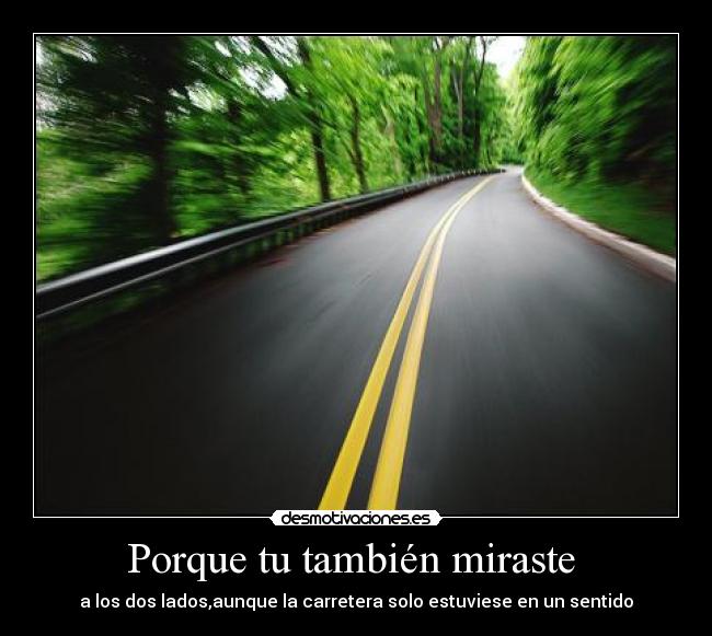 Porque tu también miraste -