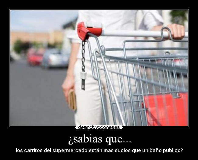 ¿sabias que... - los carritos del supermercado están mas sucios que un baño publico?