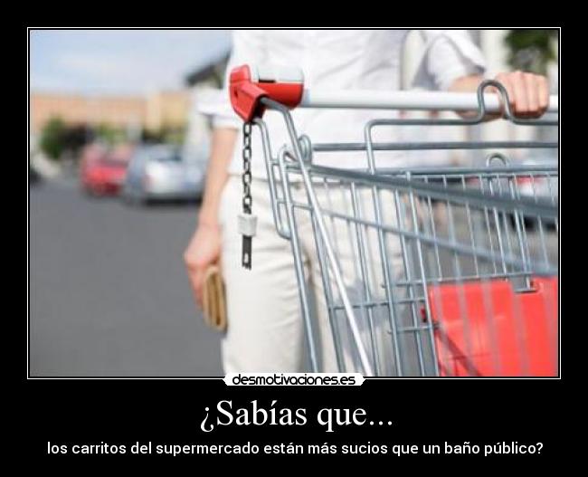 ¿Sabías que... -