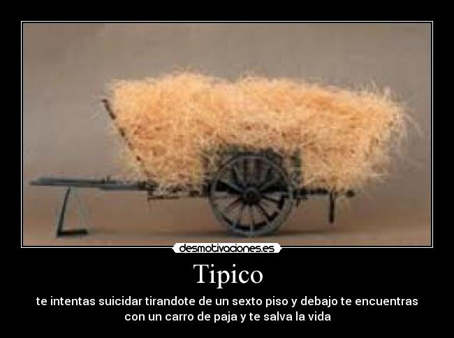 Tipico - 
