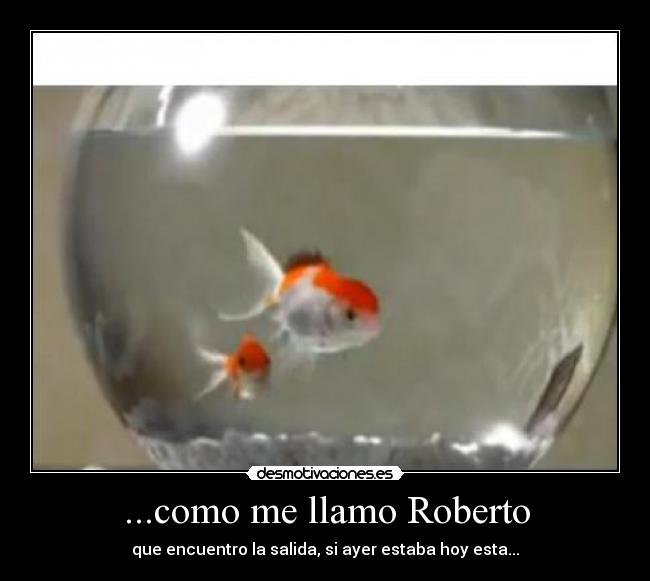 ...como me llamo Roberto -