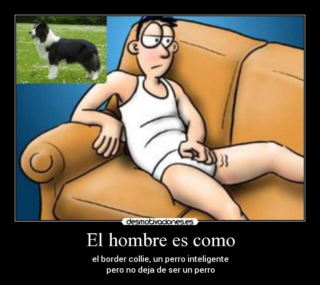 El hombre es como - el border collie, un perro inteligente
pero no deja de ser un perro