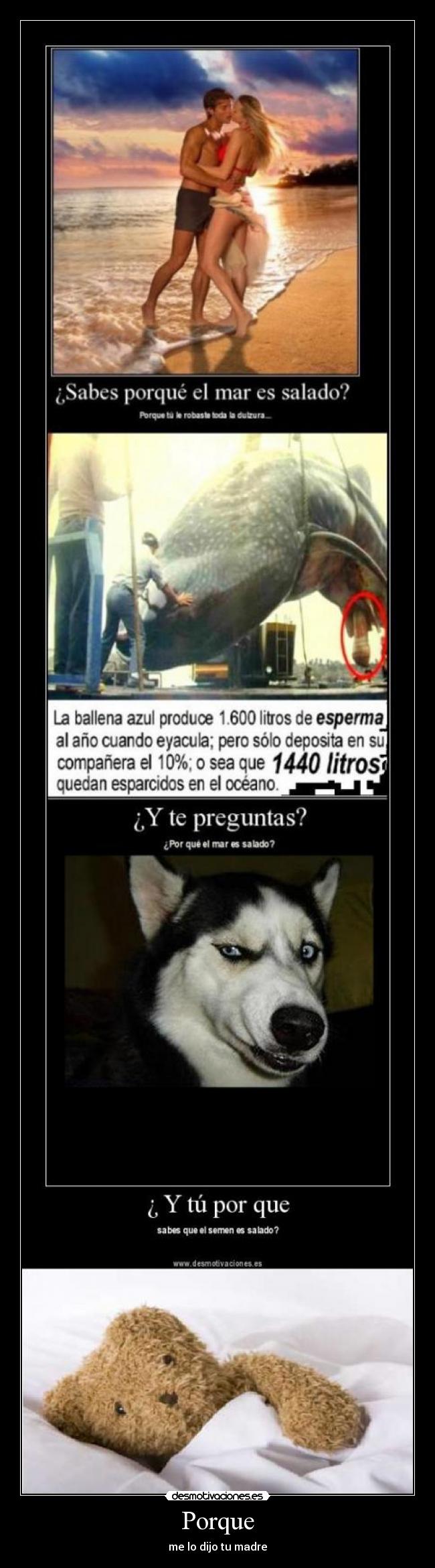 carteles porque dijo madre oso cabron desmotivaciones