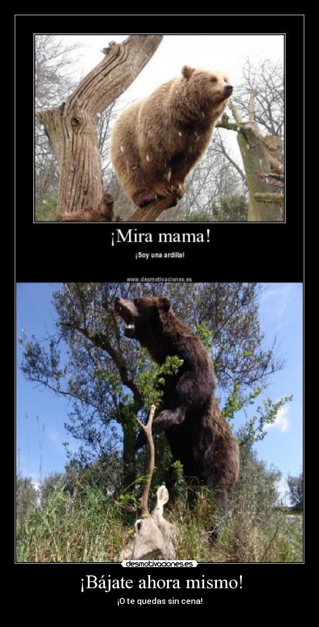 ¡Bájate ahora mismo! -