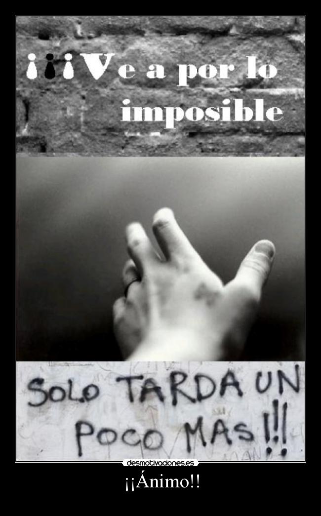 ¡¡Ánimo!! - 