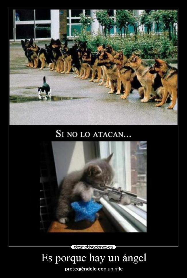 carteles angel desmotivaciones