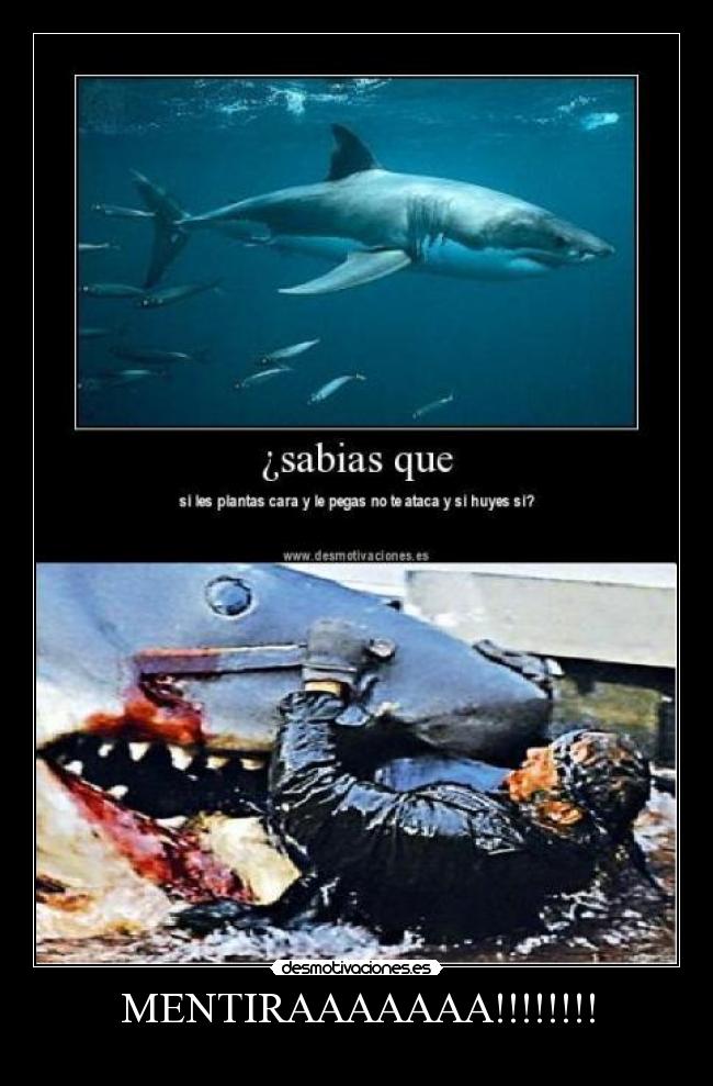 MENTIRAAAAAAA!!!!!!!! -