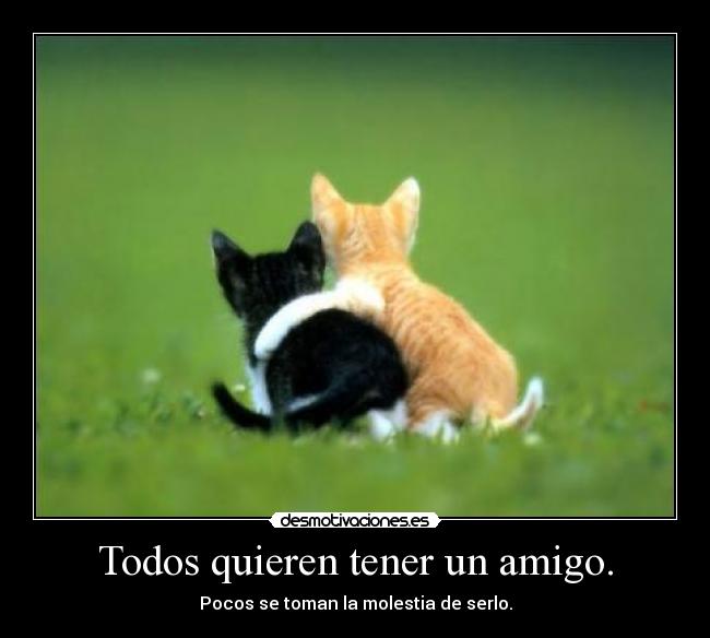 carteles todos amigos molestia desmotivaciones