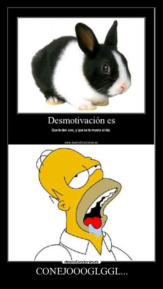 CONEJOOOGLGGL... -