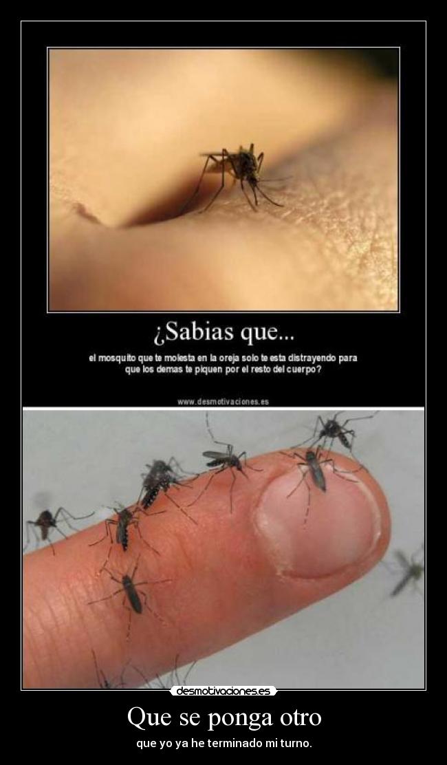 Que se ponga otro - que yo ya he terminado mi turno.