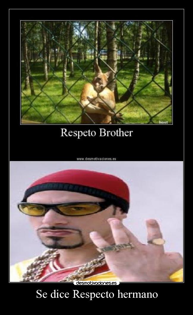 carteles ali-g respecto canguro hermano desmotivaciones