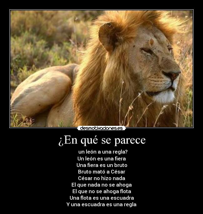 ¿En qué se parece - 