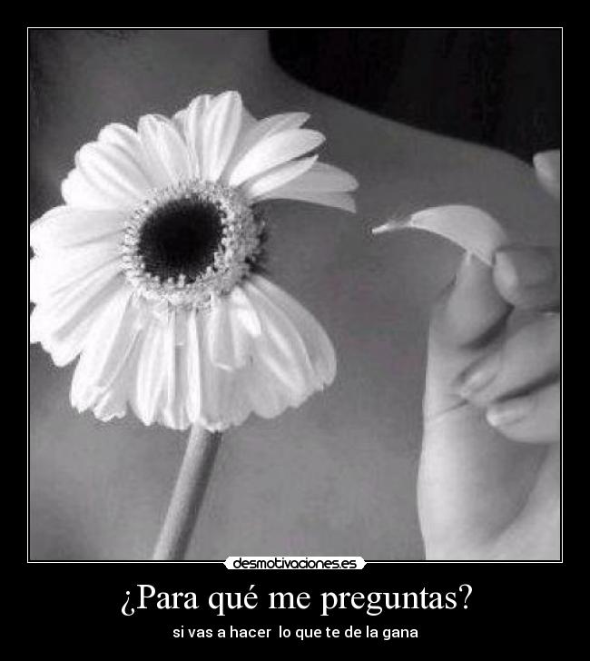 ¿Para qué me preguntas? -