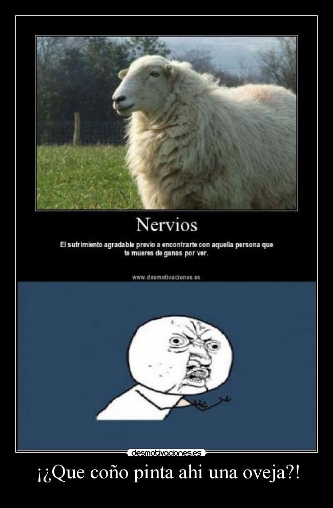 ¡¿Que coño pinta ahi una oveja?! -