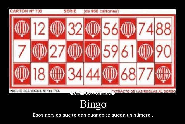 Bingo - Esos nervios que te dan cuando te queda un número..