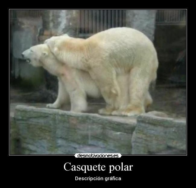 Casquete polar - Descripción gráfica