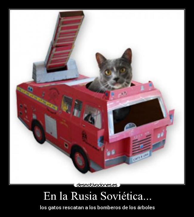 En la Rusia Soviética... - los gatos rescatan a los bomberos de los árboles