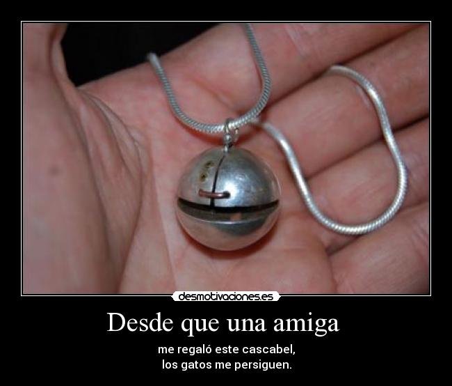 Desde que una amiga - me regaló este cascabel,
los gatos me persiguen.