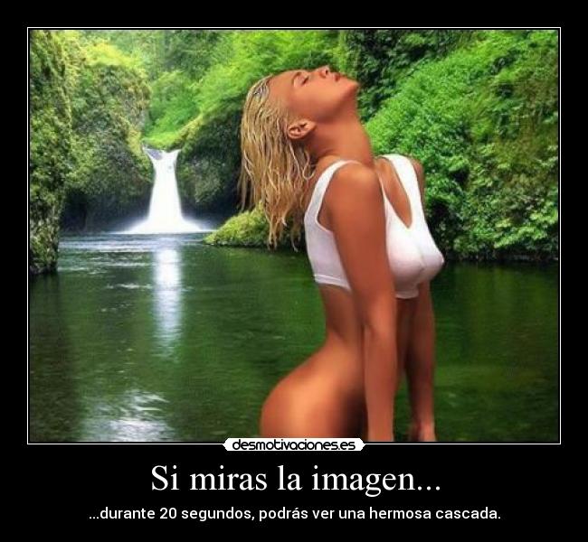 carteles zomg desmotivaciones