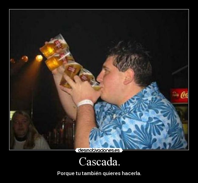 carteles cascada cerveza mahou amstel cruzcampo heineken beber desmotivaciones