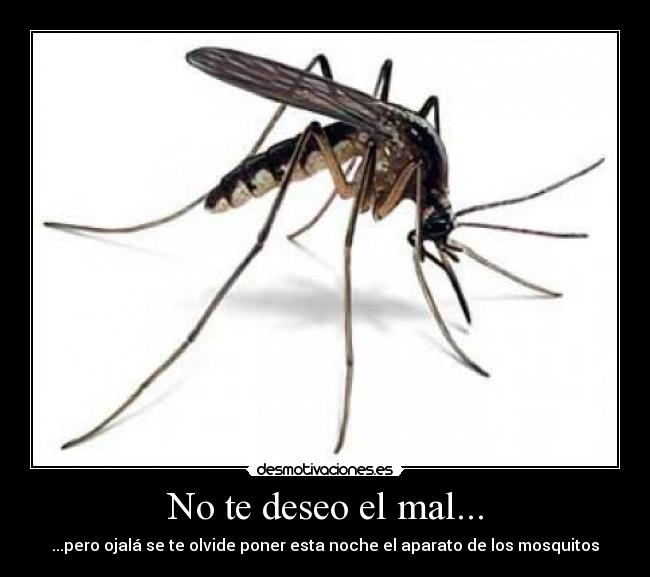 No te deseo el mal... - ...pero ojalá se te olvide poner esta noche el aparato de los mosquitos