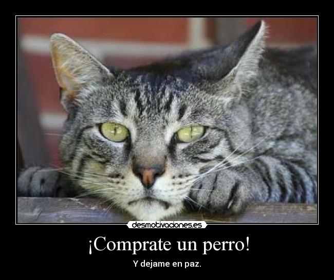 ¡Comprate un perro! - Y dejame en paz.