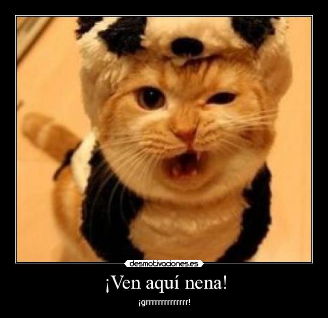 ¡Ven aquí nena! - ¡grrrrrrrrrrrrrr!