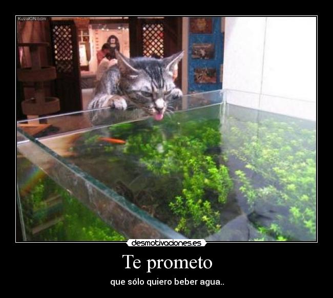 carteles prometo desmotivaciones