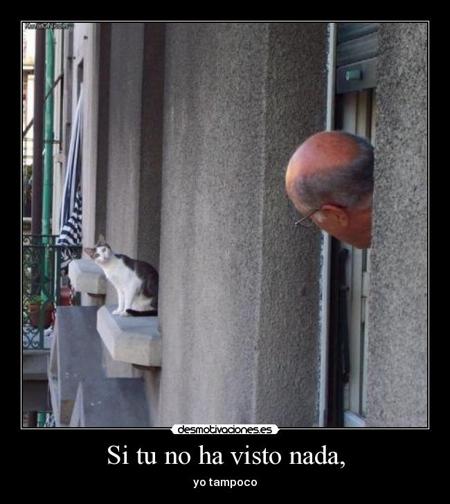 Si tu no ha visto nada, -