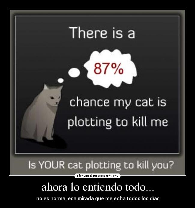 ahora lo entiendo todo... - no es normal esa mirada que me echa todos los días