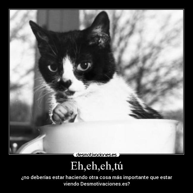 Eh,eh,eh,tú - 
