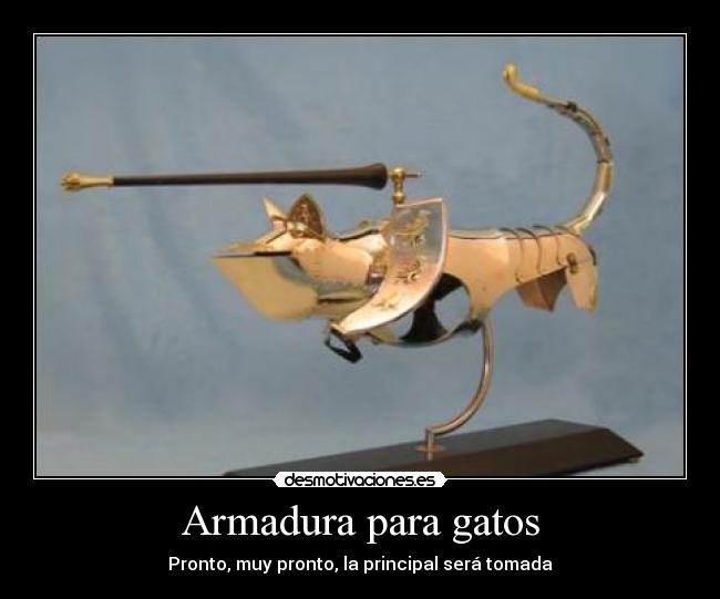 Armadura para gatos - Pronto, muy pronto, la principal será tomada