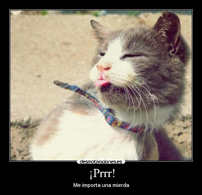 ¡Prrr! - Me importa una mierda
