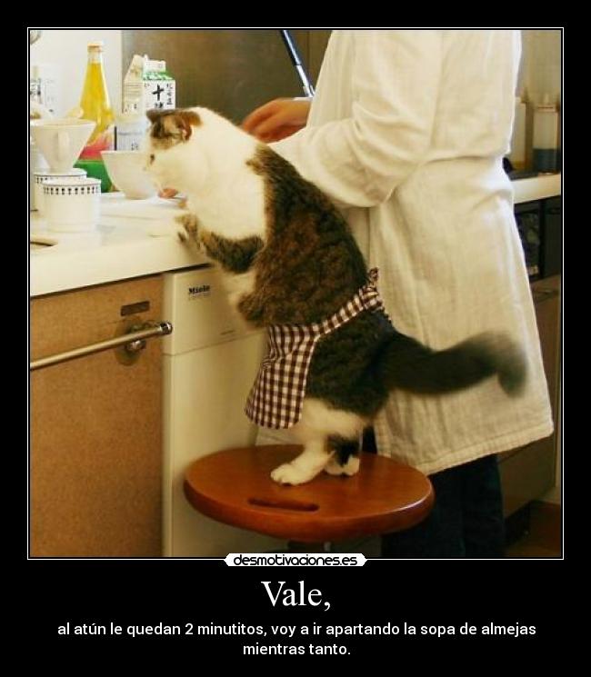 carteles vale atun quedan minutitos sopa almejas desmotivaciones