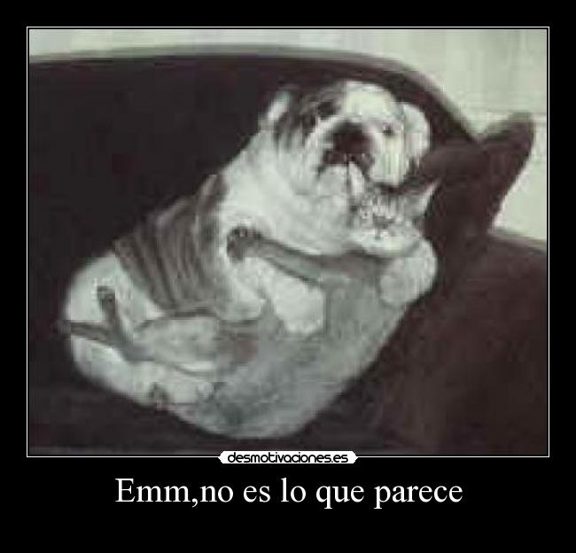 Emm,no es lo que parece -