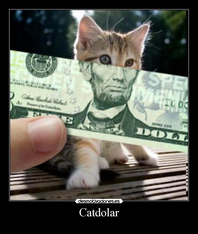 Catdolar - 