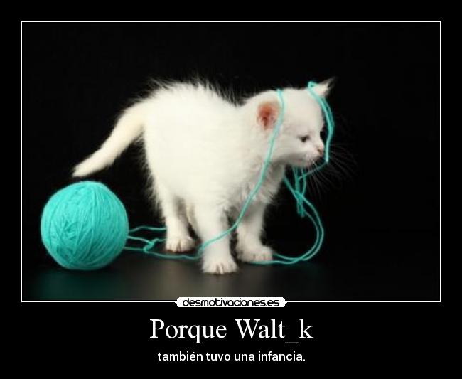 Porque Walt_k - 