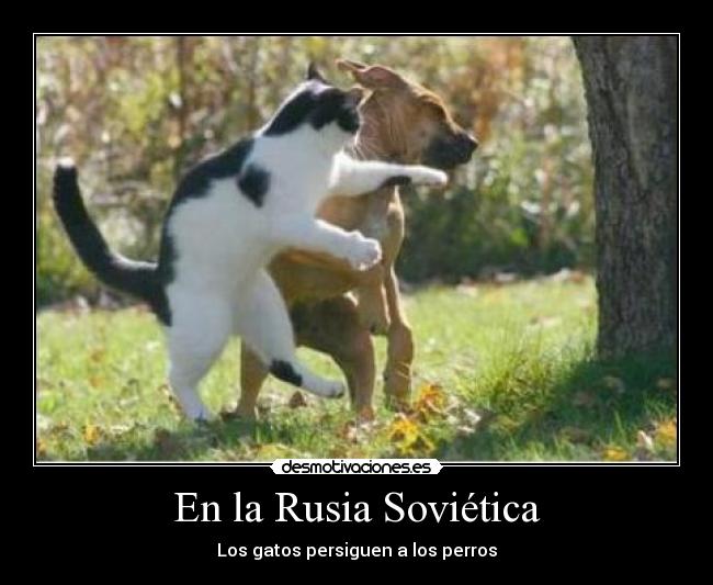 En la Rusia Soviética - 