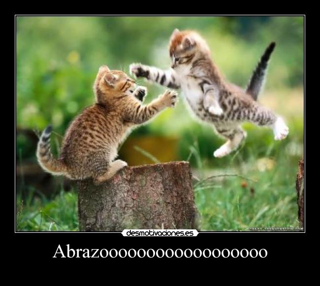 Abrazoooooooooooooooooo - 